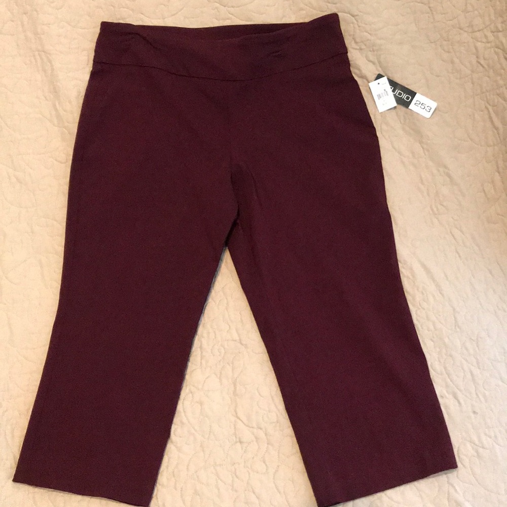 Crop/Capri Business Casual Stretch Dress Pant XL.